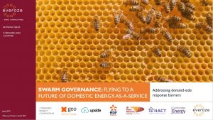 Everoze Partners Swarm Governance report