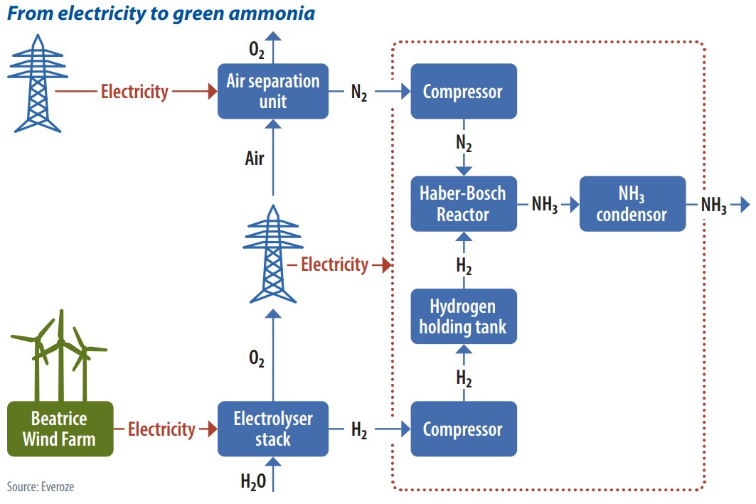 From electricity to green ammonia